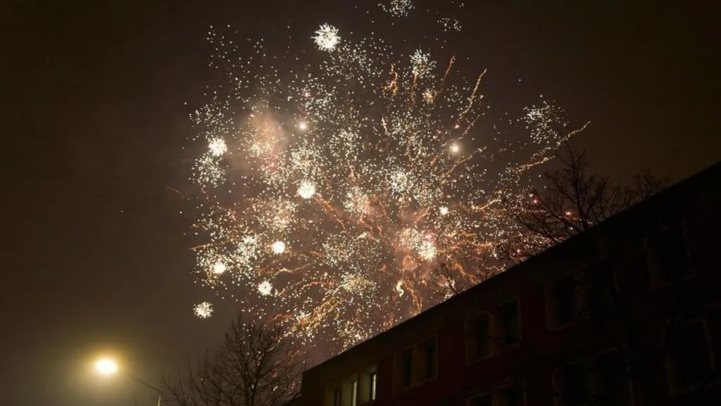 Dutch vote to ban New Year&#039;s fireworks, but not just yet
