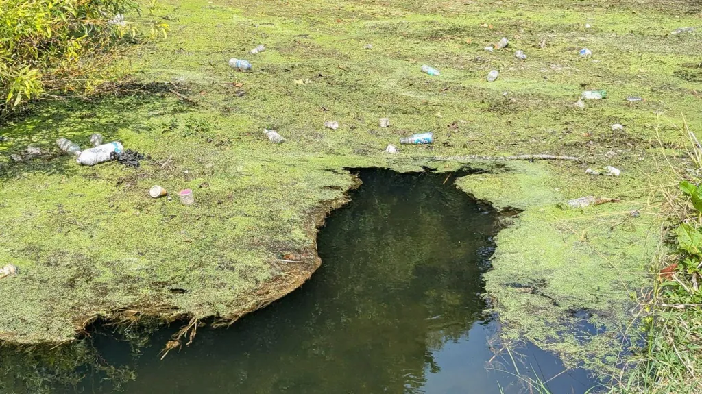 England water pollution at 10-year high, campaigners say