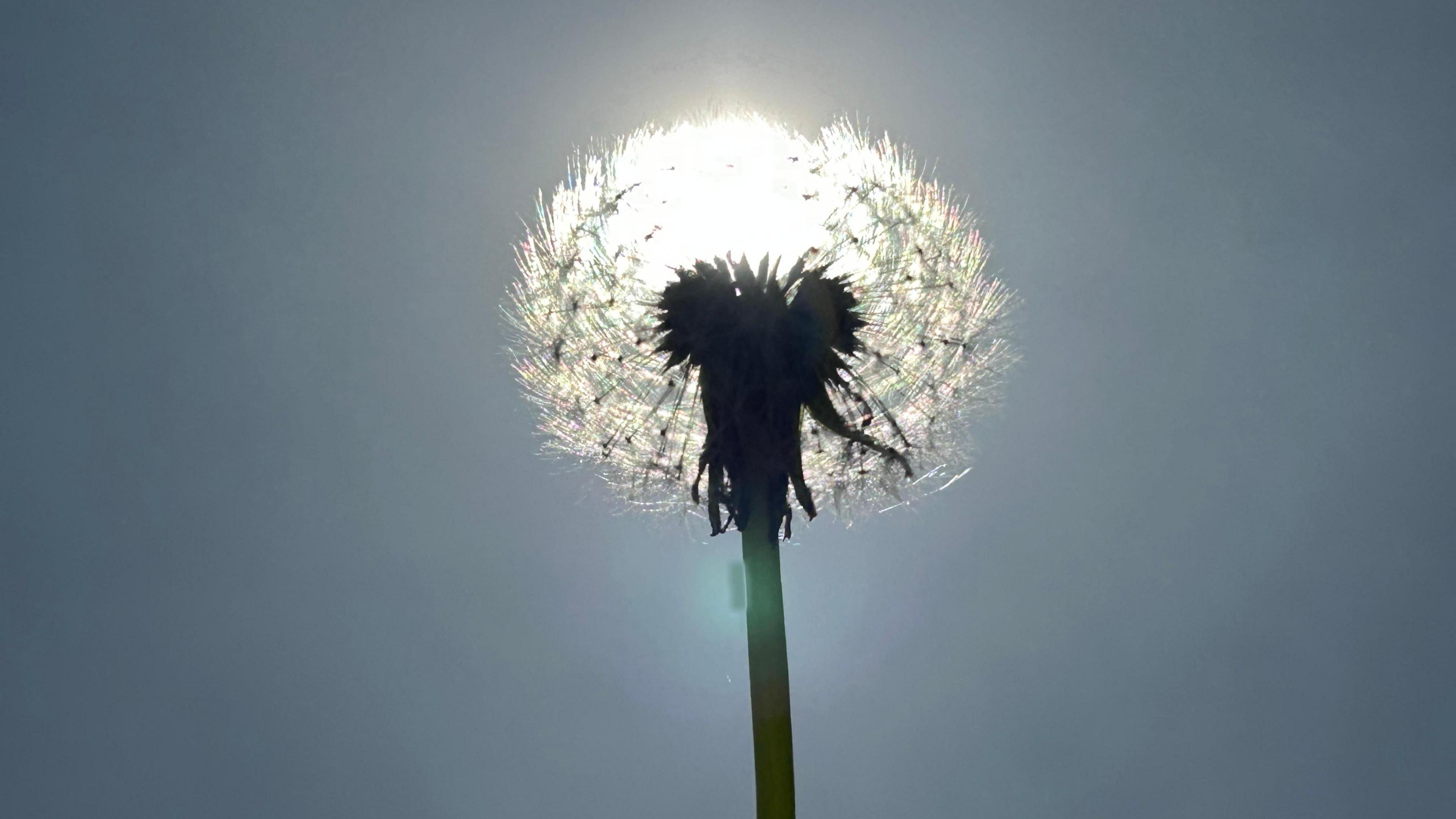 UK could see hottest April weather in seven years with 27C expected this week