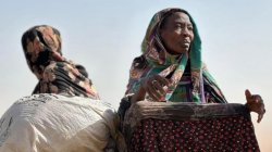 &#039;We cannot look away&#039; - UK hosts Sudan talks as famine takes hold