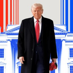 The rapid remaking of a nation