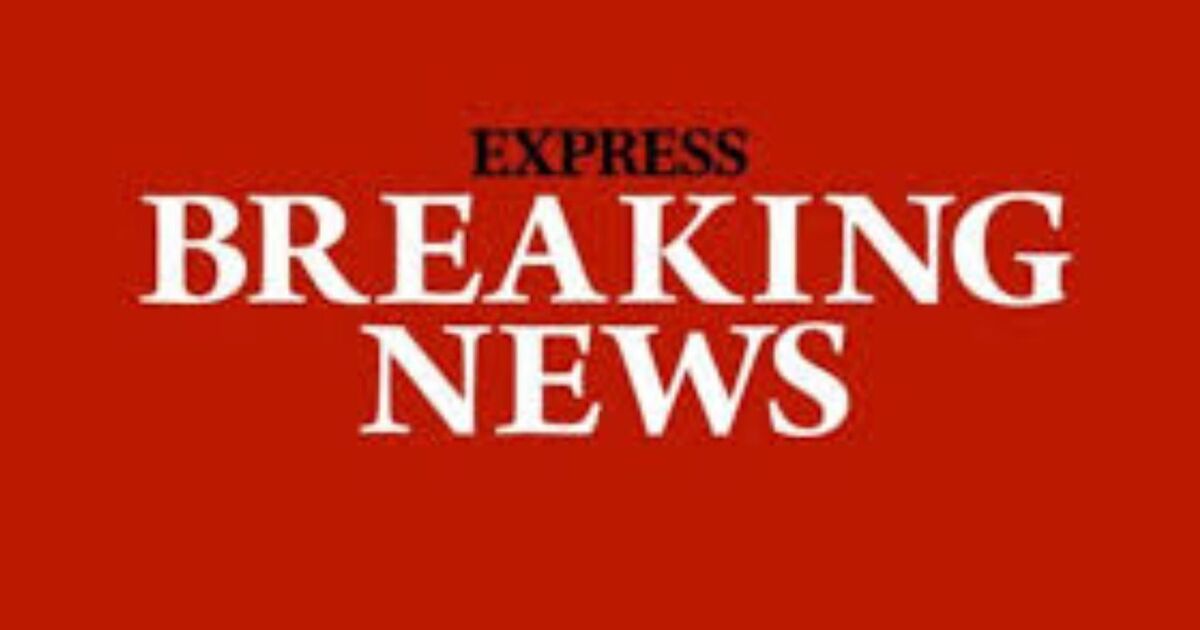 Milena Brandao dead: Netflix child star dies aged 11 as devastated mum speaks out