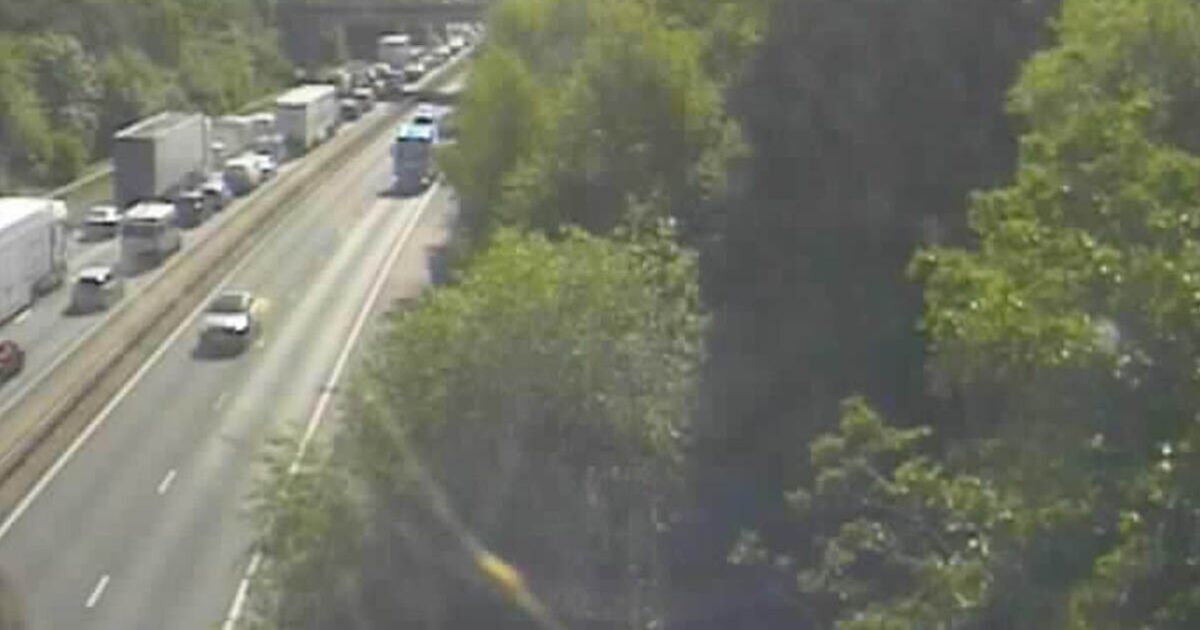 M3 traffic LIVE: Chaos on major motorway as incident sparks road closure