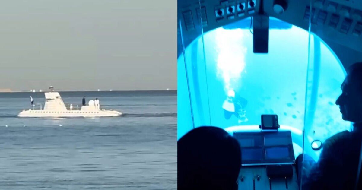 &#039;I travelled on Sindbad submarine days before it sank killing 5 - here&#039;s what it&#039;s like&#039;