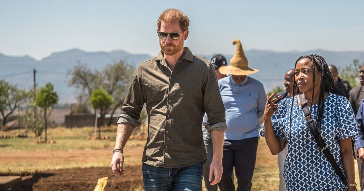 Prince Harry dealt &#039;crushing blow&#039; as he&#039;s forced to ditch &#039;passion project&#039;