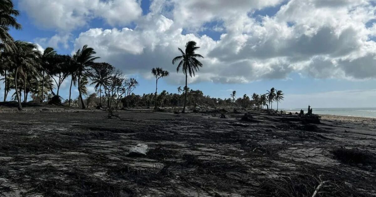 Tonga earthquake LIVE: 7.1 magnitude quake sparks tsunami fears after Myanmar disaster