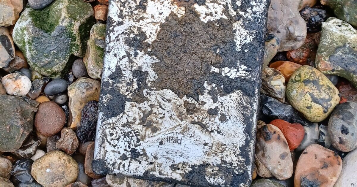 The museum thieves&#039; murder plot that was solved by an iPad caked in mud