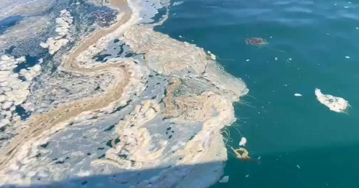 Horror in Cornwall as &#039;poo and tampons&#039; found in water off popular seaside town