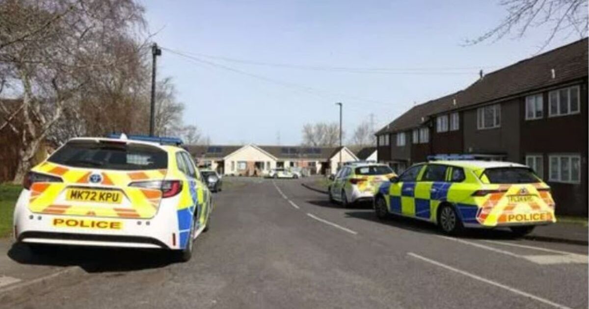 Brunswick village LIVE: Emergency services dash to street after reports of a fire