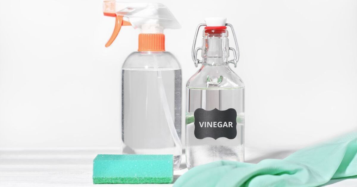 UK households urged to stop using vinegar to clean these 8 things