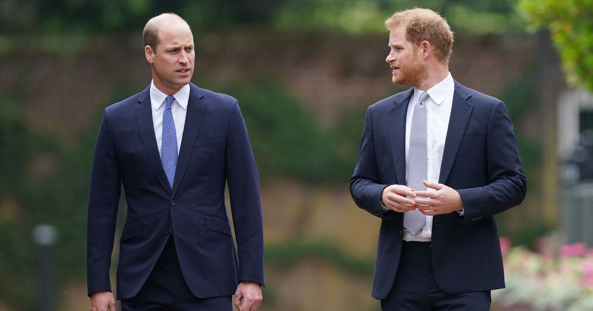 Prince William is &#039;done&#039; with Prince Harry as Duke faced with gloomy future