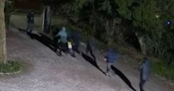 Helpless man watched as worst fears confirmed on CCTV