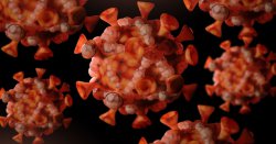 UK hospital urgently tracing patients after contact with rare deadly virus