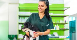 The 10 healthiest dog breeds that won't need constant trips to the vet
