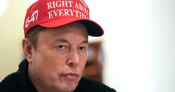 Tesla sales plummet in HALF as Elon Musk's support for Donald Trump backfires