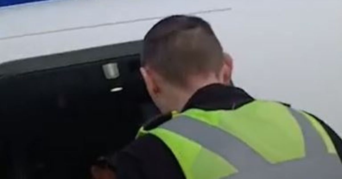 Mum led off Ryanair flight because she was unable to pay for £7 Pringles