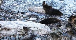 Beautiful UK town just 10 minutes from tiny beach full of wild seals