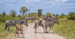 African country suffering from overtourism but loved by British travellers