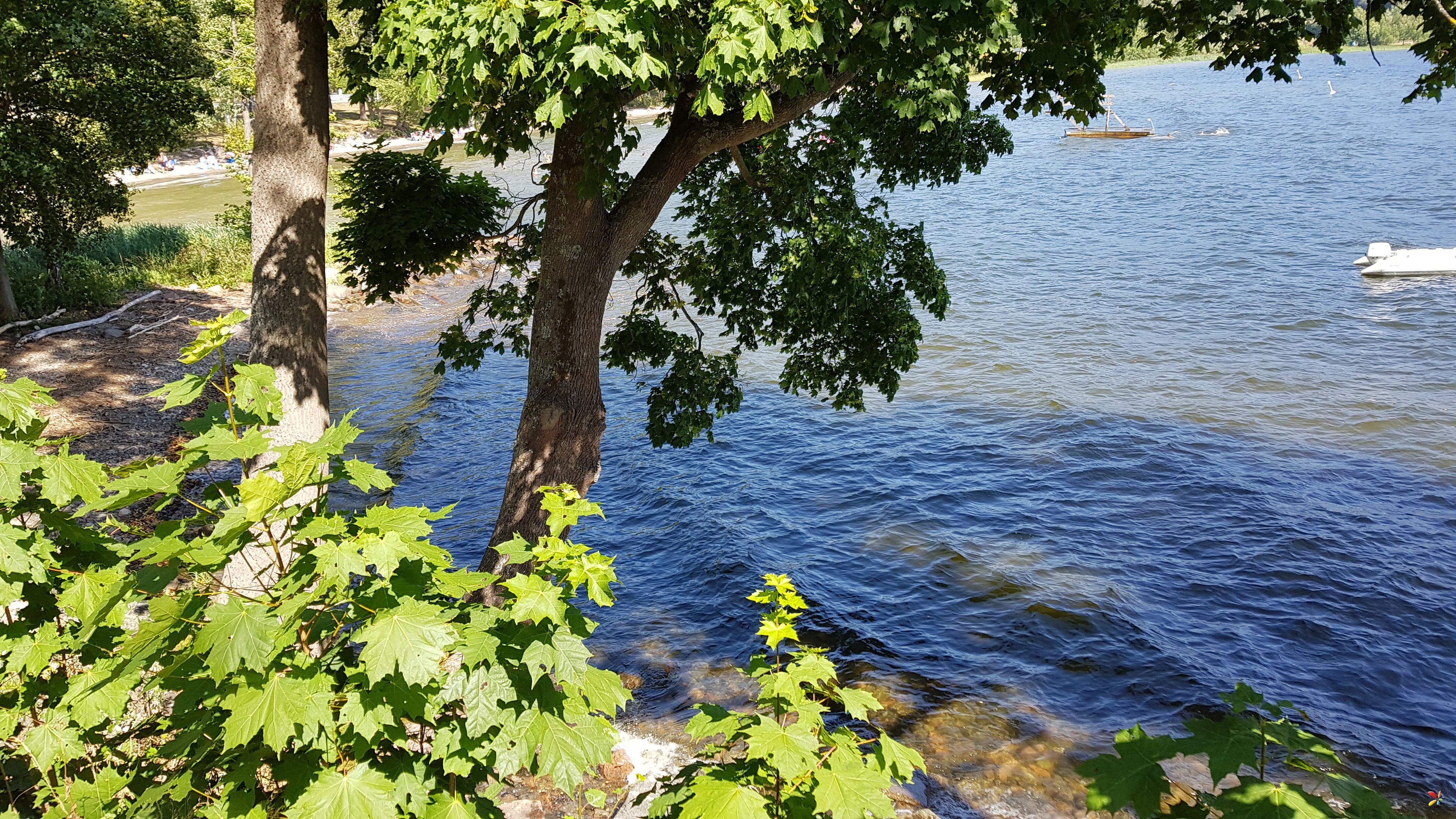 Hyggen- Lier - Norway  