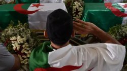 Algerian law declares France's colonisation a crime