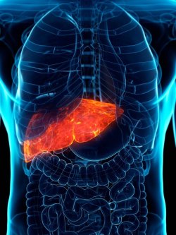 Hotspots for genetic disease 'Celtic Curse' mapped across UK - grave health complications