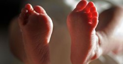 NHS staff ordered to stop discouraging first cousin marriages in government guidance