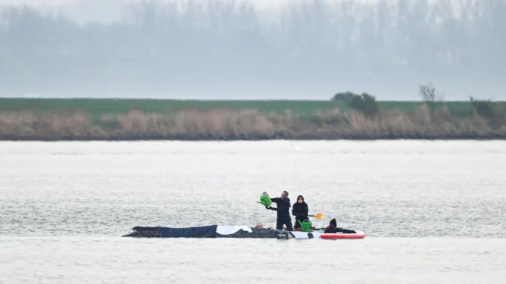 Rescuers to Try Inflatable Cushions in New Bid to Free Stranded Humpback in Baltic